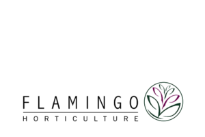 flamingo horticulture logo